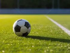 娱乐活动中,体育明星的,情感展现策,8868体育平台,8868体育官方网站,8868体育登录入口,8868体育app下载