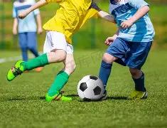 厦门奋力构,建数字升级,争当全国数,8868体育平台,8868体育官方网站,8868体育登录入口,8868体育app下载