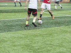 土壤改良,生物炭显神,8868体育,8868体育平台,8868体育官方网站,8868体育登录入口,8868体育app下载