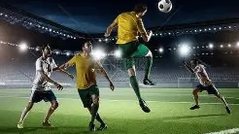 8868体育 资讯 104937 6xd