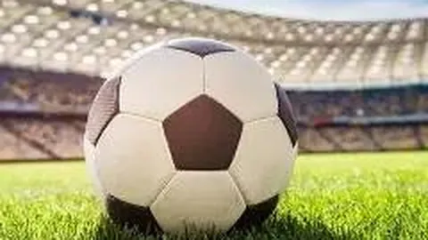 8868体育 产品 105003 4d4