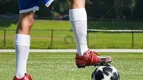 8868体育 资讯 105333 2fz