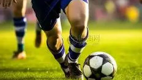 8868体育 资讯 091655 5nk