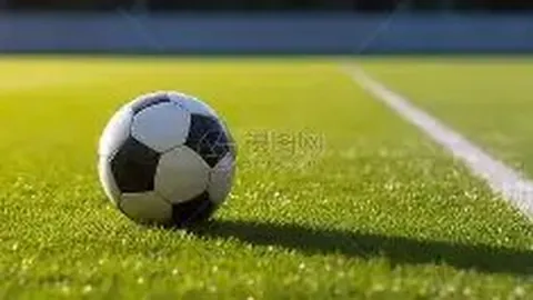 8868体育 产品 093534 956